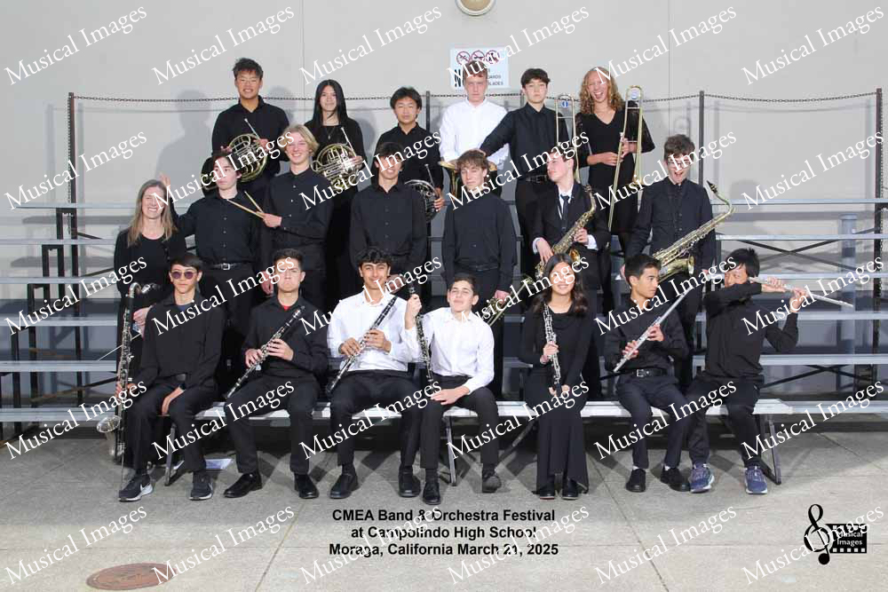 Musical Images